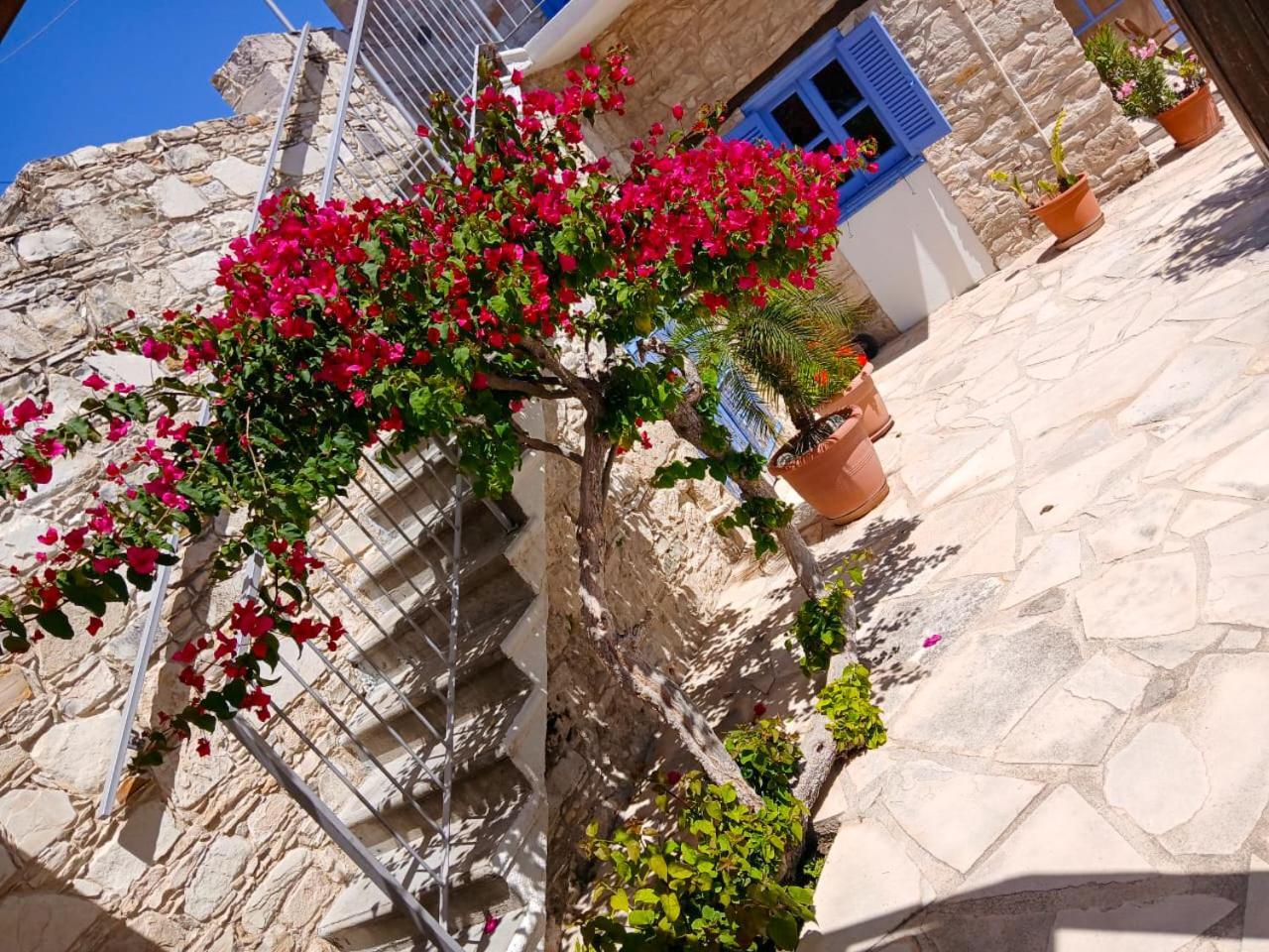 Athena'S Pool Oasis Apartamento Skarinou Exterior foto